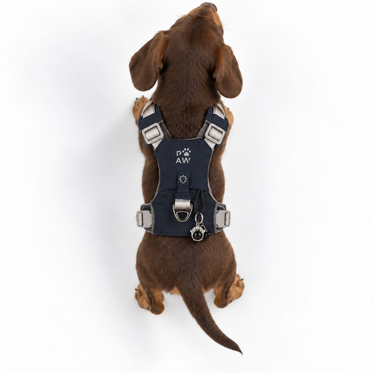 Gemstone Step-in Harness | Rock Grey · Black Obsidian · Size XS