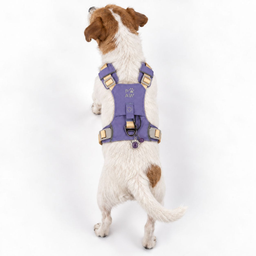 Gemstone Step-in Harness | Lavender · Amethyst · Size S