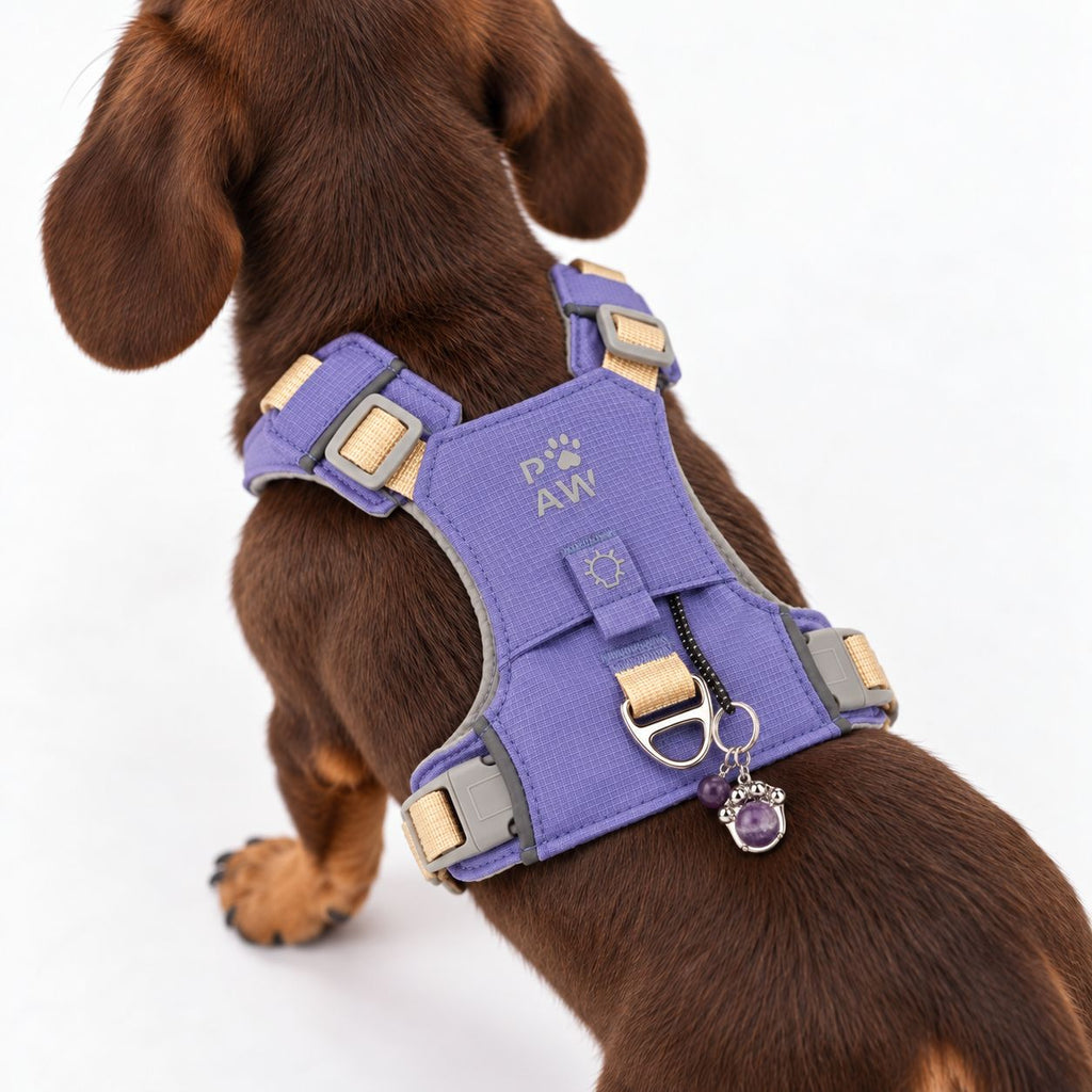 Gemstone Step-in Harness | Lavender · Amethyst · Size XS