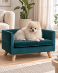 Teal velvet dog sofa with cream Pomeranian