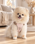 Cream Pomeranian wearing the Gemstone Step-in Harness in soft pink with rose quartz charm