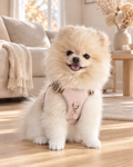 Cream Pomeranian wearing the soft pink Gemstone Step-in Harness