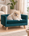 Cream Pomeranian relaxing on the teal Velvet Dog Sofa
