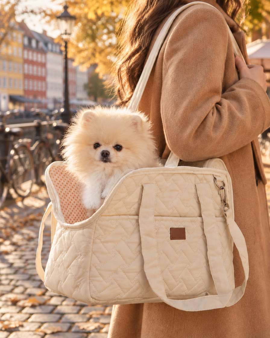 Pomeranian carried in the cream Quilted Dog Carrier Bag on a city street